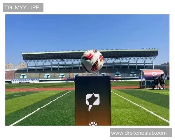 中甲联赛裁判岗前培训全面提升裁判员专业素养与执法能力的策略与实践